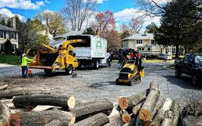 Best Lawn Grading and Leveling  in Rancho Mission Viejo, CA